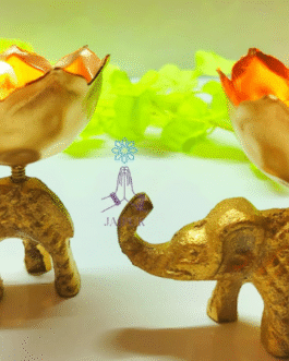 Kachi Rasoi Elephant Dry Fruit Holder | 10 PCS