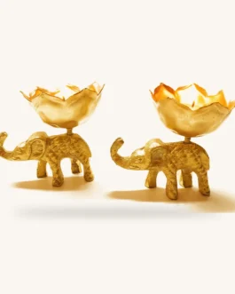 Elephant Dry Fruit Holder – Set of 10