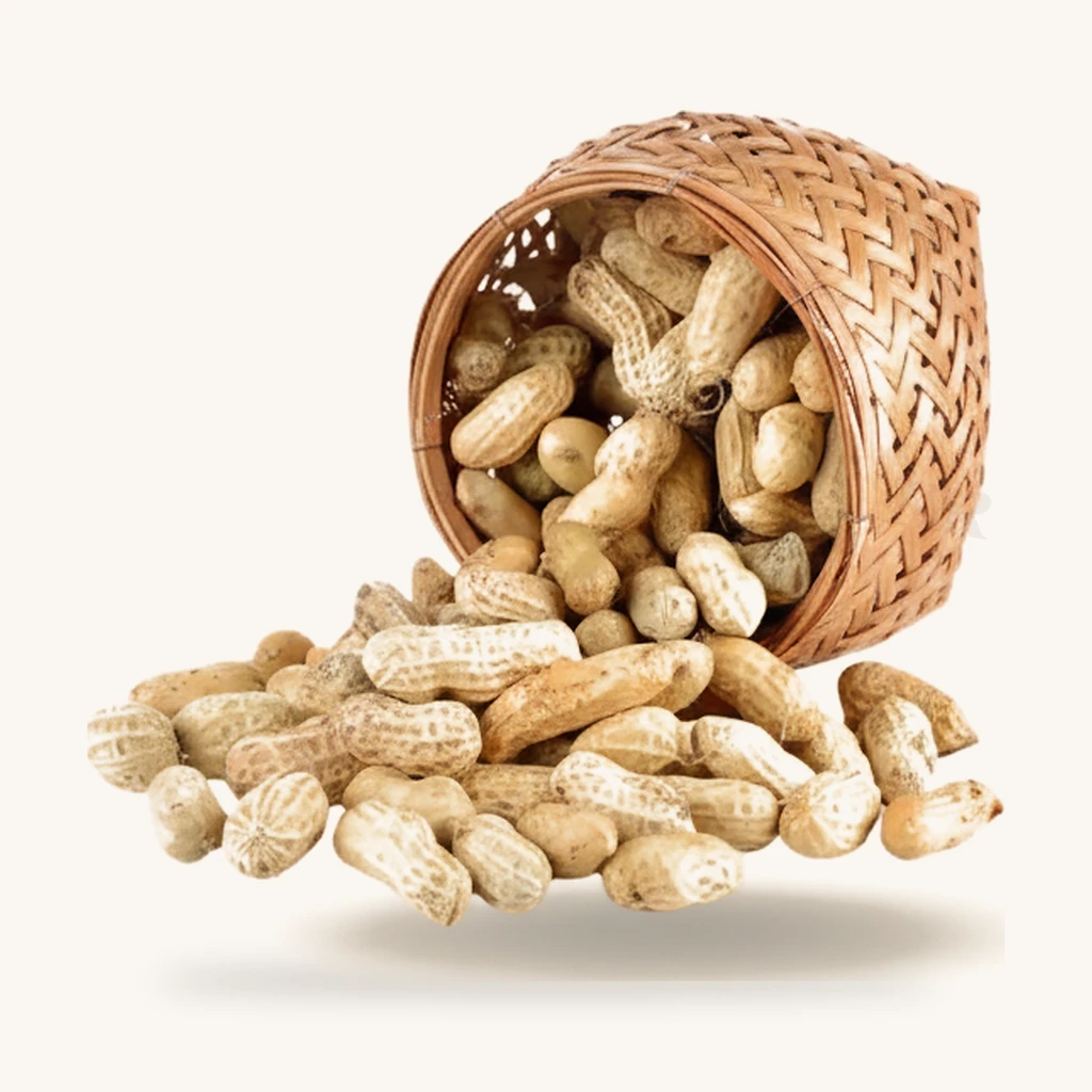 Mungfali | Peanut