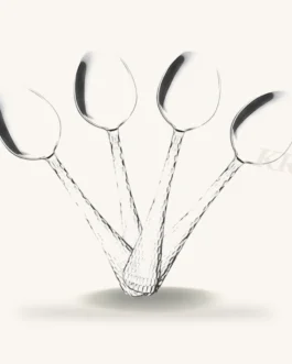 Stainless Steel Spoon Set – 12 Pcs