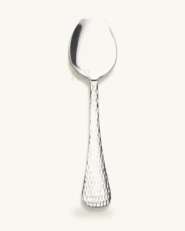 Stainless Steel Spoon Set – 12 Pcs
